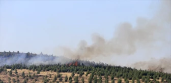 Kahramanmaraş'ta Orman Yangını Kontrol Altına Alındı