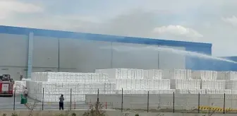 Sakarya'da kağıt peçete fabrikasında yangın çıktı