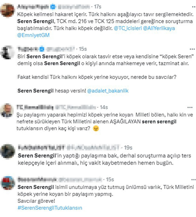 Seren Serengil's dog-themed victory post receives backlash! They are calling on the Minister of Interior