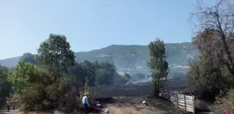 Tokat'ın Turhal ilçesinde anız yangını: 300 dekar ekili arazi zarar gördü