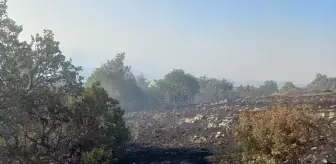 Tokat'ın Zile ilçesinde çıkan örtü yangını söndürüldü