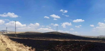 Sivas'ın Gemerek ilçesinde 70 dönümlük arpa ekili alan yanarak kül oldu