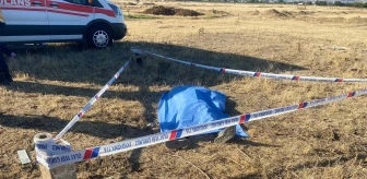 Manisa'da arazide erkek cesedi bulundu