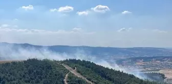 Balıkesir Bigadiç'te çıkan orman yangını kontrol altına alındı