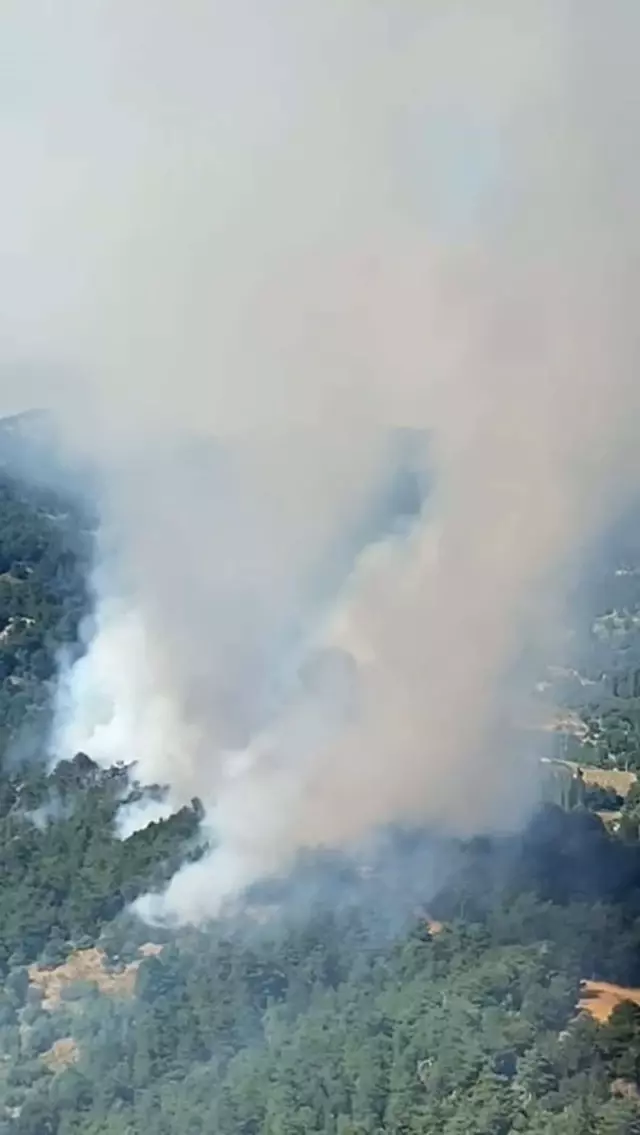 Forest fire in Ödemiş, İzmir! Teams have started a race against time