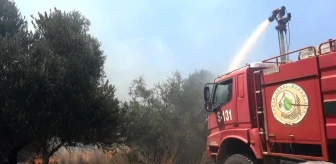 Manavgat'ta çöplük yangını tarım arazilerine zarar verdi