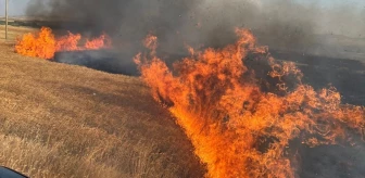 Yozgat'ta çıkan yangında 1000 dönüm buğday ekili alan zarar gördü