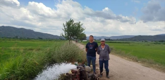 Sinop'ta çeltik tarlaları su sorunu yaşıyor