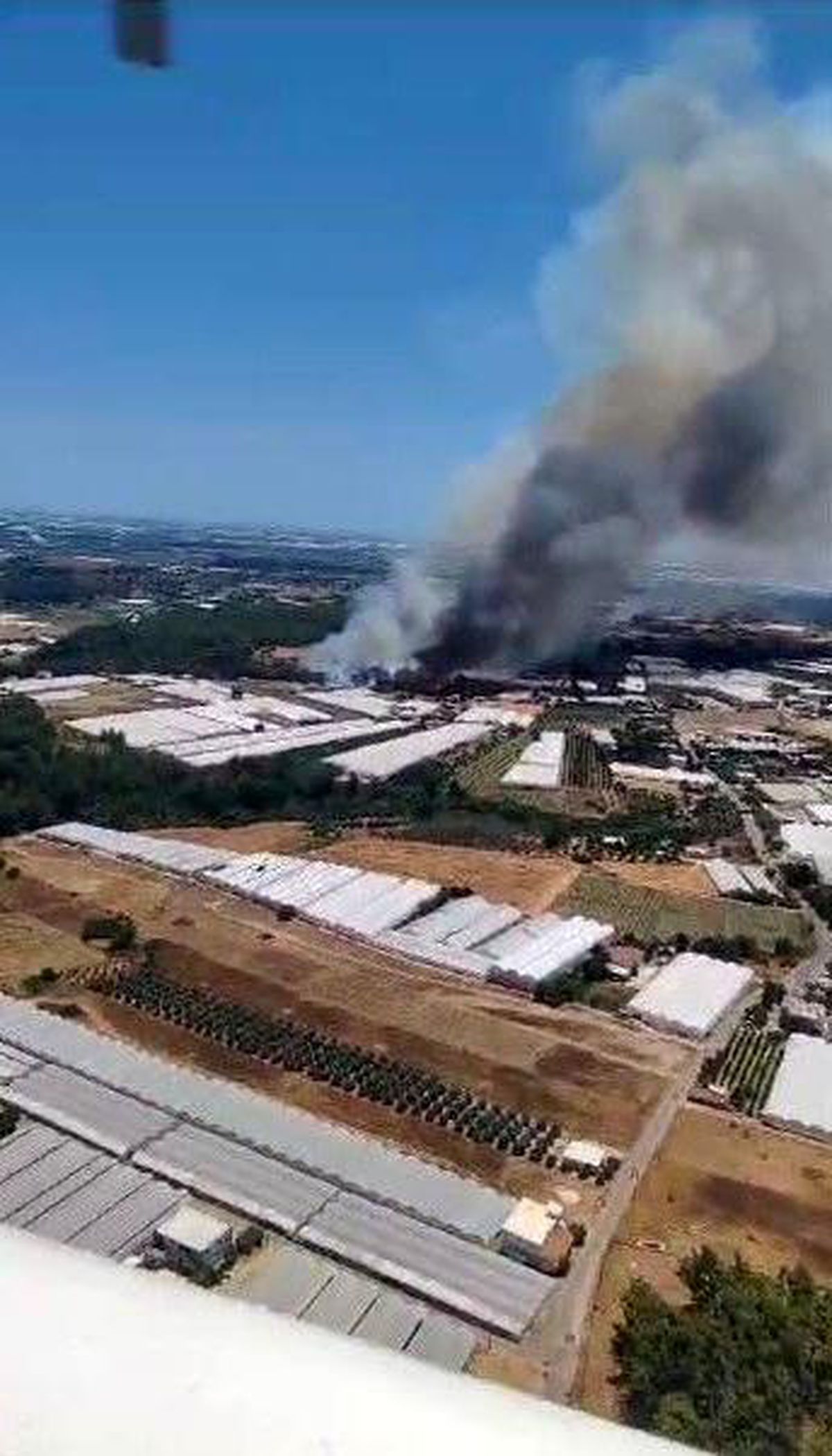Antalya'nın Aksu ilçesinde orman yangını çıktı