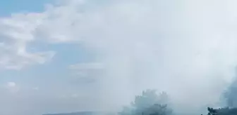Çorum'un Sungurlu ilçesinde 3 dekar ormanlık alanda yangın çıktı