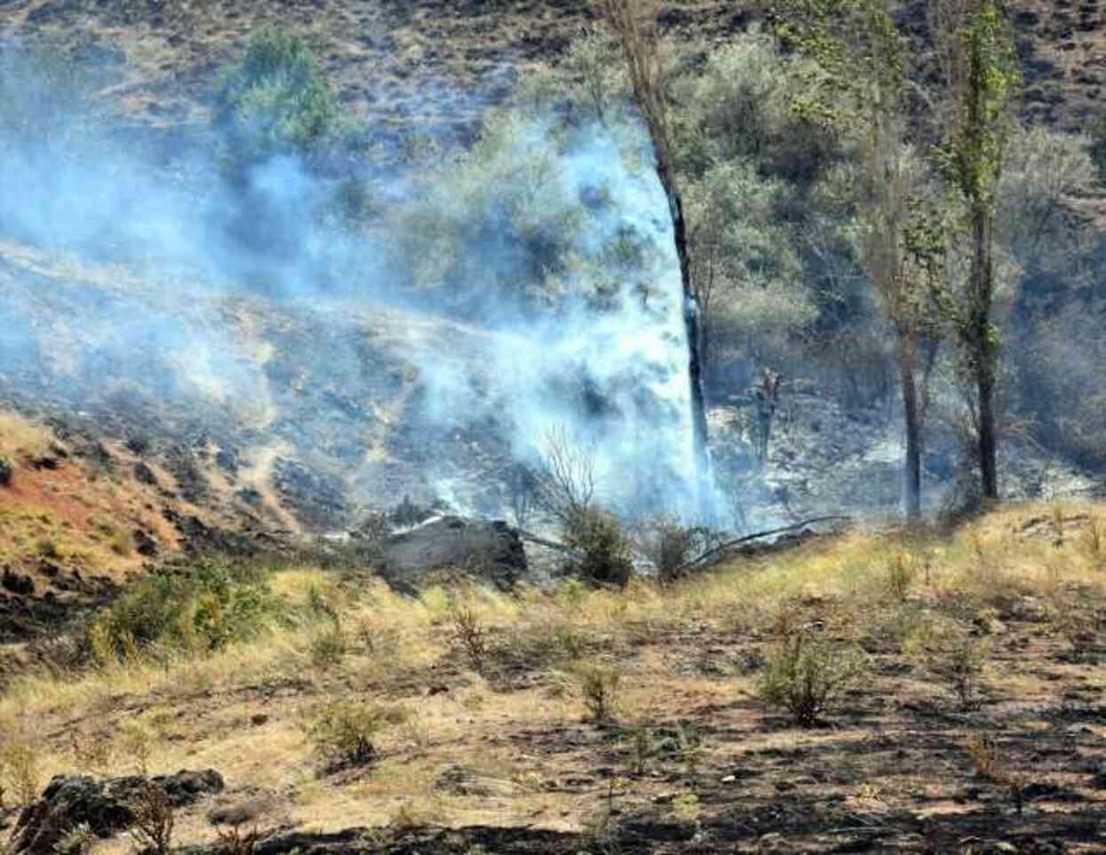 Official of irresponsibility in Kırıkkale! Barbecue fire turned 3 thousand acres of agricultural land into ashes