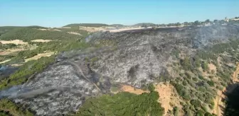 Manisa'nın Kula ilçesinde çıkan yangın söndürüldü