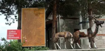 Erzincan'da Şifalı Gölün Kaynak Suyu İçiliyor