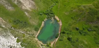 Kop Dağı'nın Zengin Bitki Örtüsü ve Doğal Güzellikleri