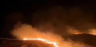 Siirt'te anız yangını kontrol altına alındı