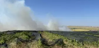 Çorlu'da Anız Yangını Söndürüldü