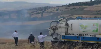 Çorum'un Dodurga ilçesinde anız yangını çıktı