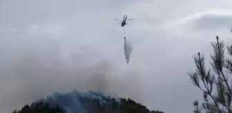 Karabük'te ormanlık alanda çıkan yangın kontrol altına alındı