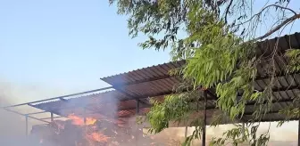 Hatay'ın Reyhanlı ilçesinde samanlıkta çıkan yangın söndürüldü