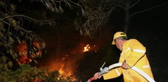 Bodrum'daki yangın söndürüldü mü? Bodrum orman yangınında son durum nedir?