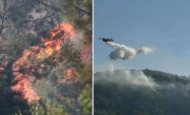 Bodrum'dan yükselen alevler 18 saatte kontrol altında! 100 hektarlık tahribat gün ağarınca ortaya çıktı