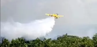 Adana'da ormanlık alanda çıkan yangın kontrol altına alındı