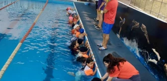 Adıyaman'da çocuklar yüzme öğreniyor