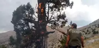 Kahramanmaraş'ta Yıldırım İsabet Eden Ağaçta Yangın Çıktı