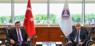 Cumhurbaşkanı Yardımcısı Cevdet Yılmaz, Anayasa Mahkemesi Başkanı Kadir Özkaya'yı ziyaret etti