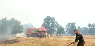 Edirne'de Bulgaristan sınırındaki yangına müdahale devam ediyor