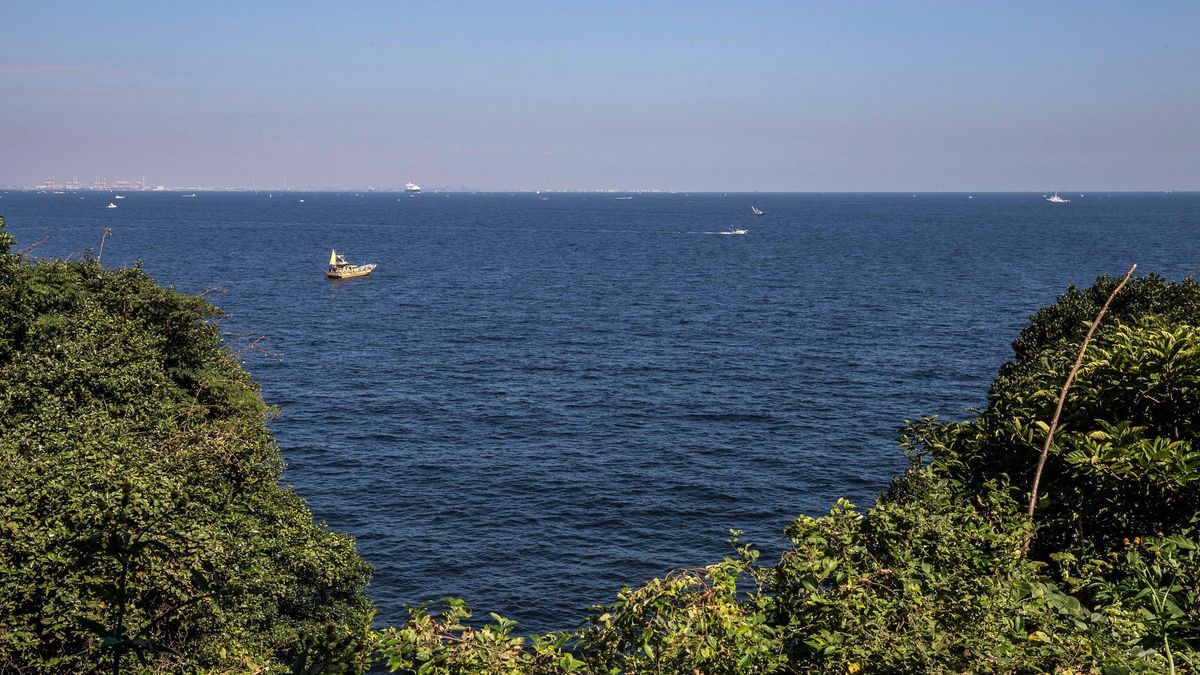 Japonya'da Kaybolan Kadın 80 Km Açıkta Kurtarıldı