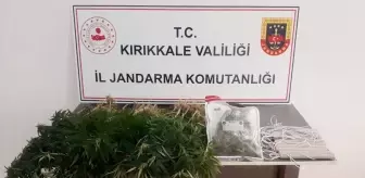 Kırıkkale'de Uyuşturucu Operasyonu: 67 Kök Kenevir ve 53 Gram Esrar Ele Geçirildi