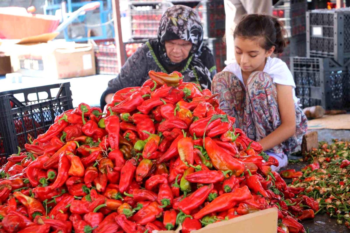 Şanlıurfa'da İsot Üretimi Başladı
