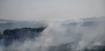 Edirne'de hasat edilmiş buğday tarlasından ormana sıçrayan yangın söndürüldü