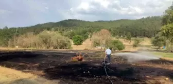 Emet'te Mangal Ateşiyle Çıkan Yangında 2 Dönüm Ekili Alan Zarar Gördü