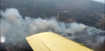 Manisa Gölmarmara'da Orman Yangını