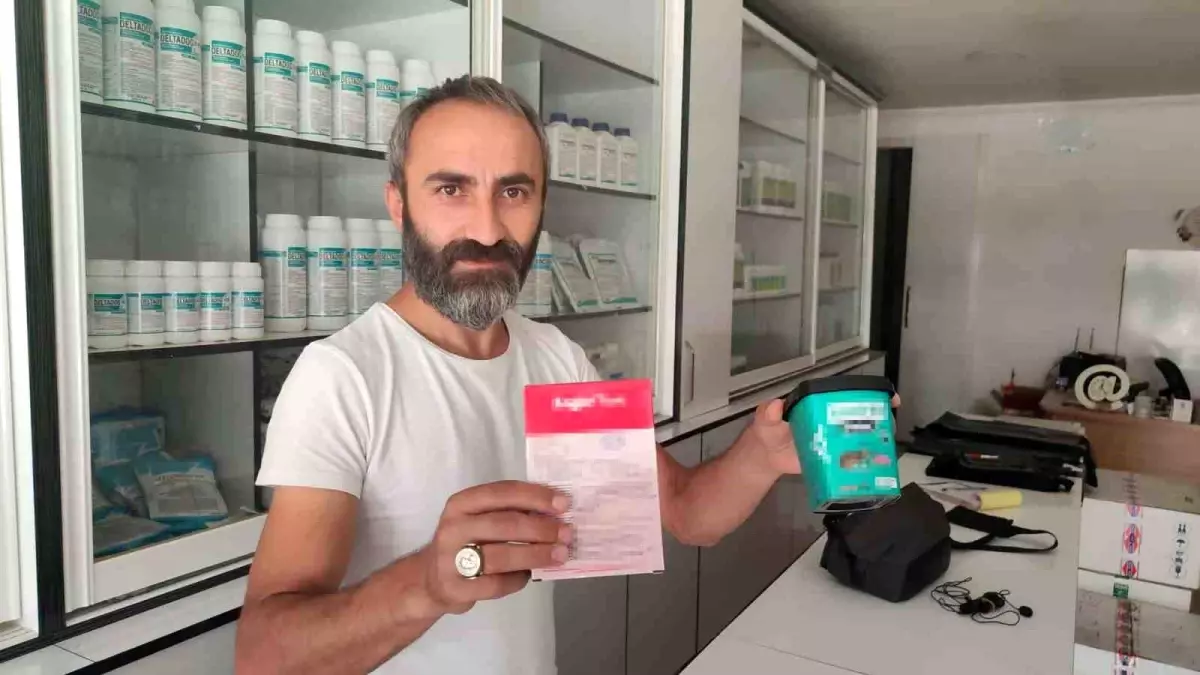 Kırşehir'de Çiftçiler Fare İstilası ve Kuraklıkla Mücadele Ediyor