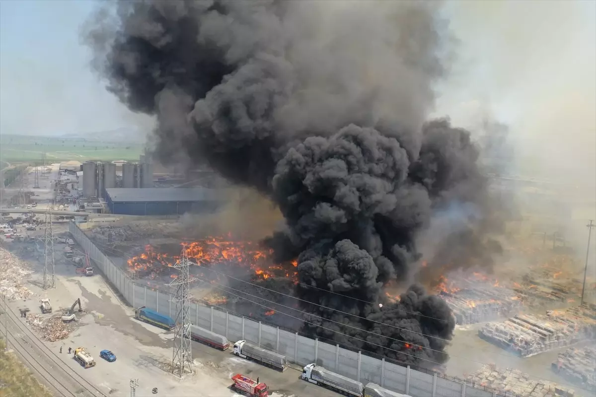 Aydın'da kağıt fabrikasında çıkan yangın kontrol altına alınamıyor