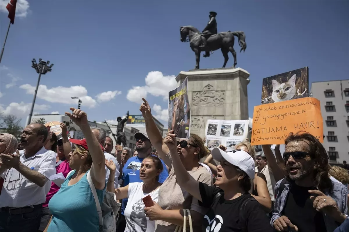 Hayvanseverler Yasa Teklifine Karşı Eylem Yaptı
