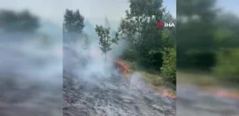 Samsun'da yangın sonucu 25 dönüm arazi hasar gördü