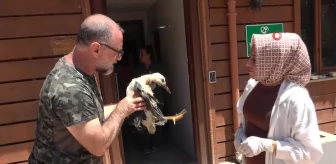 Tokat'tan İstanbul'a getirilen yaralı yavru leylek hayvanat bahçesine teslim edildi