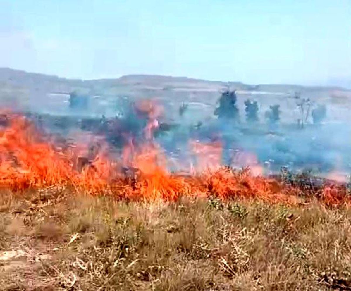 Tunceli'de arazi yangını kontrol altına alındı