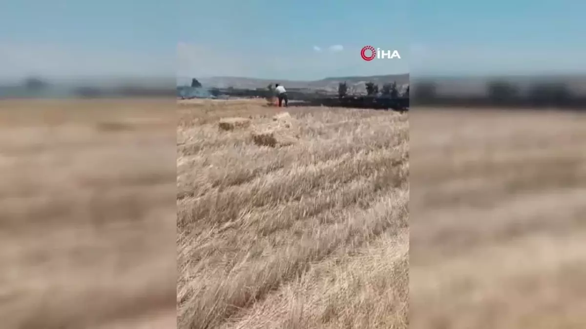 Tunceli'deki arazi yangını söndürüldü