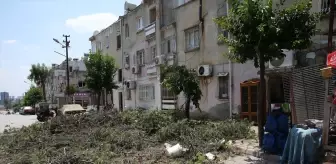 Adana'da fırtınada ağaç çocuğun yakınına devrildi