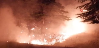 Ağaçlık alanda çıkan yangın evlere sıçramadan söndürüldü