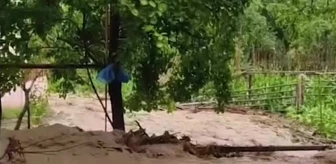 Artvin'de aşırı yağışlar tarım arazilerine ve köy yollarına zarar verdi