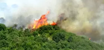 Çanakkale'de Orman Yangını Kontrol Altına Alındı