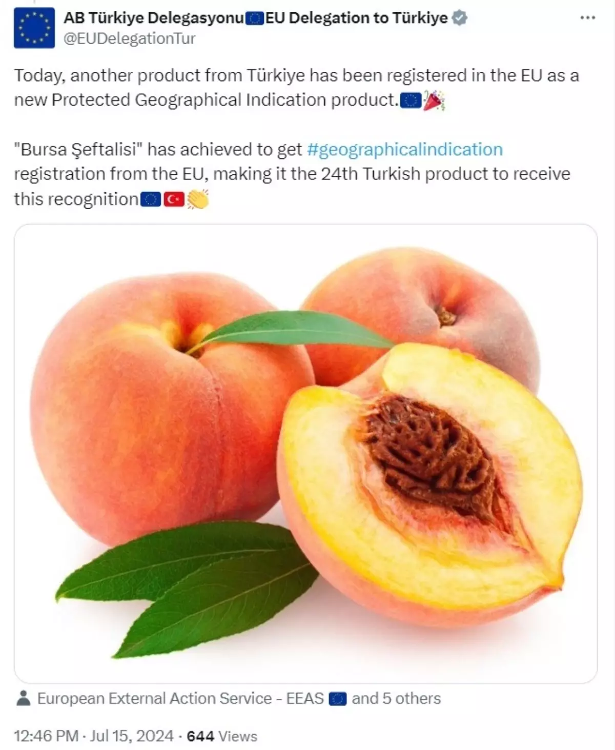 Bursa Şeftalisi Avrupa Birliği'nde Coğrafi İşaret Korumalı Ürün Olarak Tescillendi