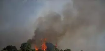 Çanakkale'de tarım arazisinde çıkan yangın kısmen kontrol altına alındı