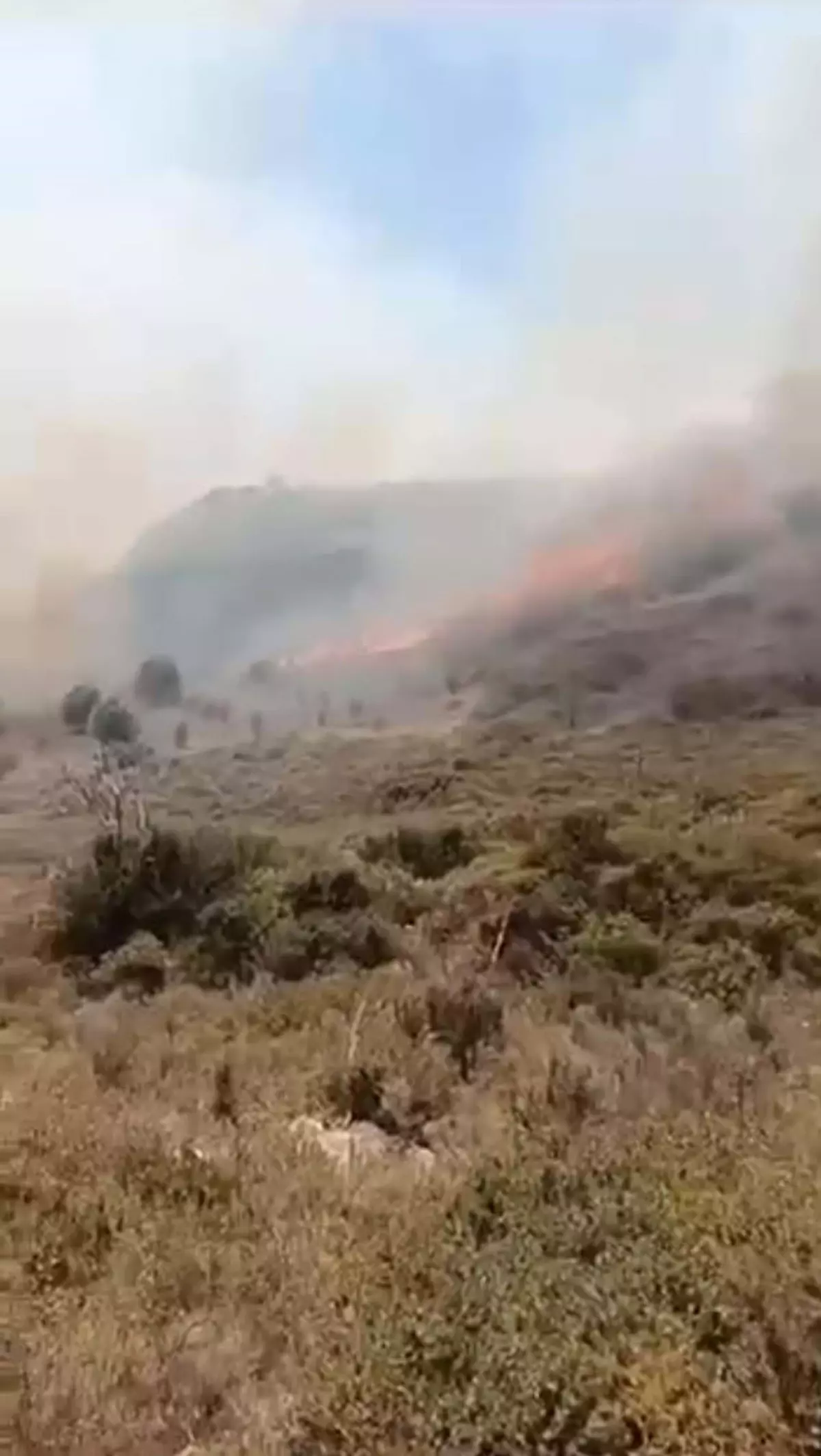Çeşme'deki Orman Yangınında Hayatını Kaybedenlerin Son Görüntüsü Ortaya Çıktı